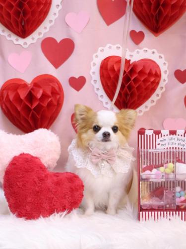 20240228りくくん